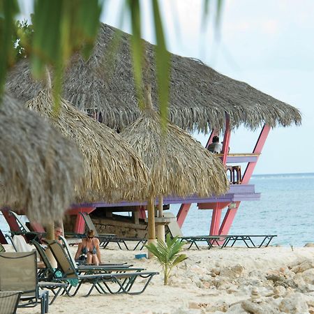Divi Dutch Village Beach Resort Palm Beach Екстер'єр фото