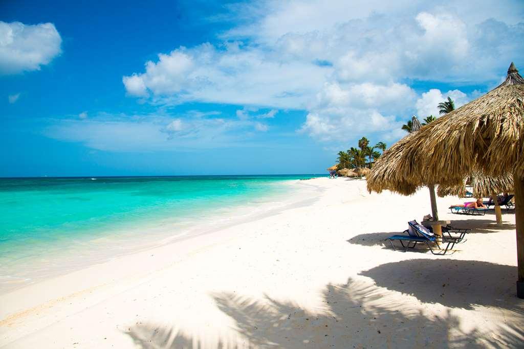 Divi Dutch Village Beach Resort Palm Beach Природа фото