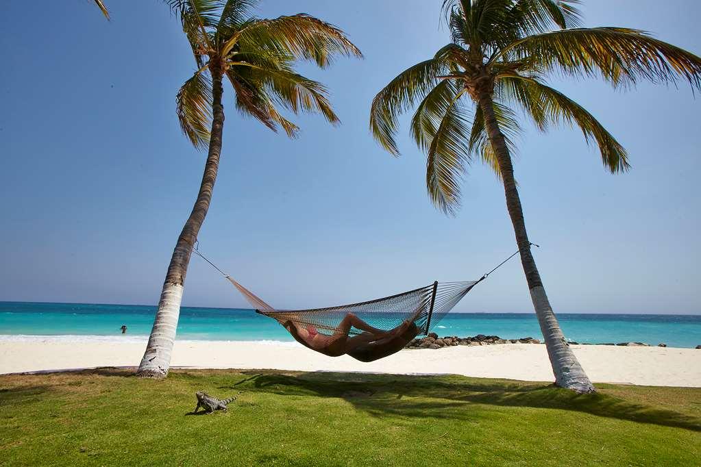 Divi Dutch Village Beach Resort Palm Beach Природа фото