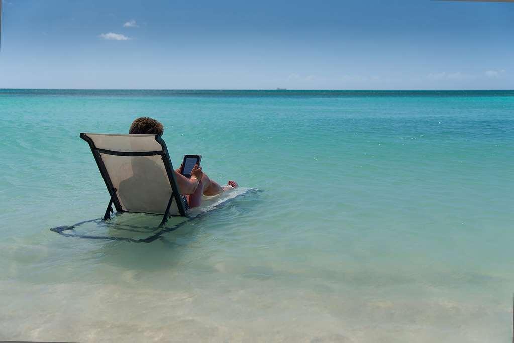 Divi Dutch Village Beach Resort Palm Beach Природа фото